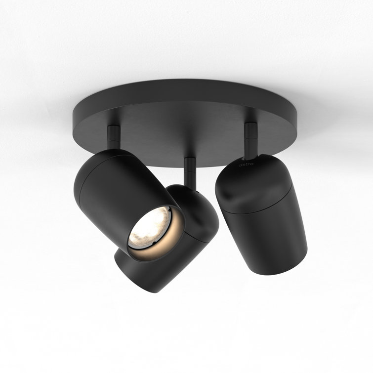 Matte Black Triple Round Indoor Spotlight