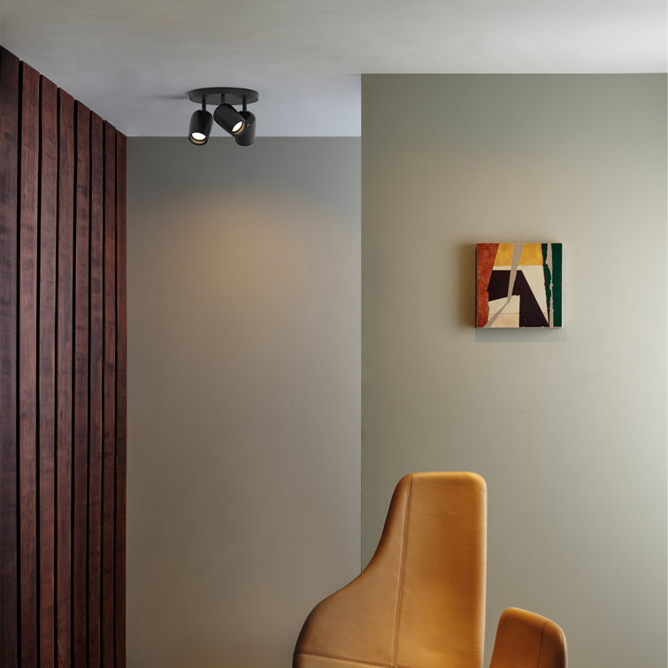 Matte Black Triple Round Indoor Spotlight