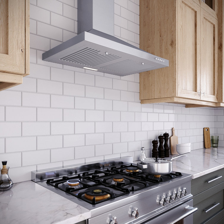 Streamline 30-Inch Stainless Steel Wall Mounted Range Hood with Charcoal Filter