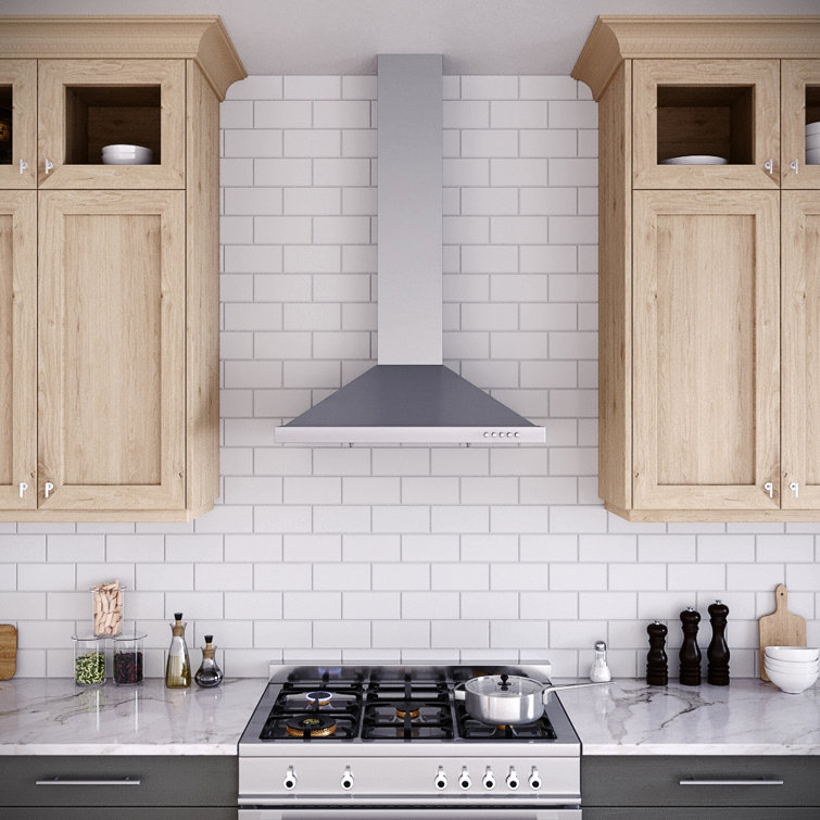 Streamline 30-Inch Stainless Steel Wall Mounted Range Hood with Charcoal Filter