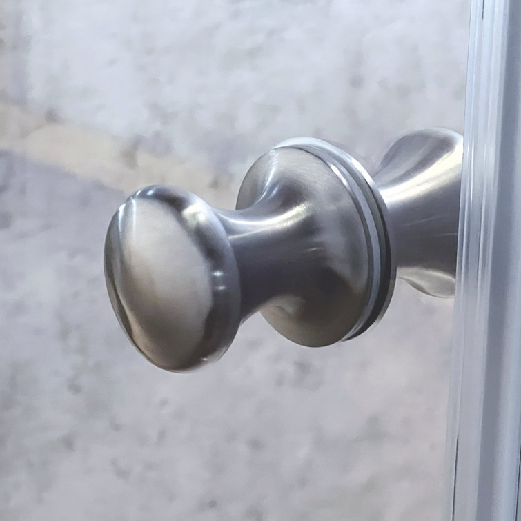 Lyna 70" High x 30" Wide Frameless Shower Door in Brushed Stainless Steel