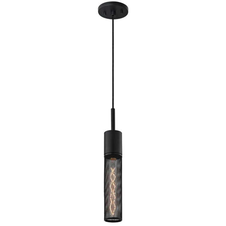 Black Mesh Indoor/Outdoor LED Pendant Light