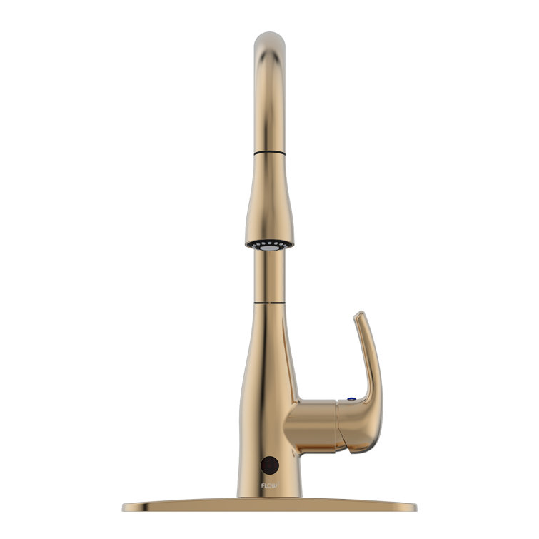 Champagne Brushed Nickel Pull-Down Kitchen Faucet with Spray