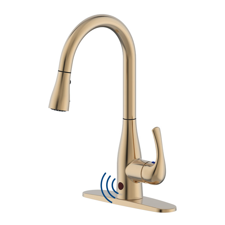 Champagne Brushed Nickel Pull-Down Kitchen Faucet with Spray