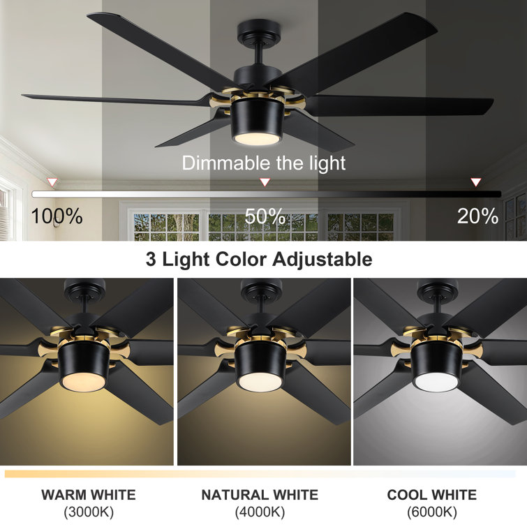 Modern 60'' Black and Gold Ceiling Fan with LED Light and Remote