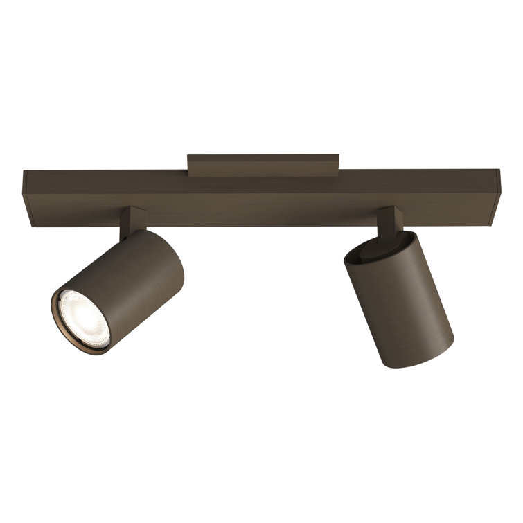 Ascoli Bronze Adjustable 2-Light Metal Spotlight Flush Mount