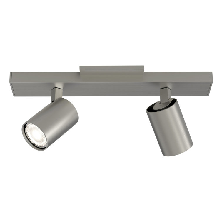 Contemporary Matt Nickel 2-Light Spotlight Ceiling Fixture
