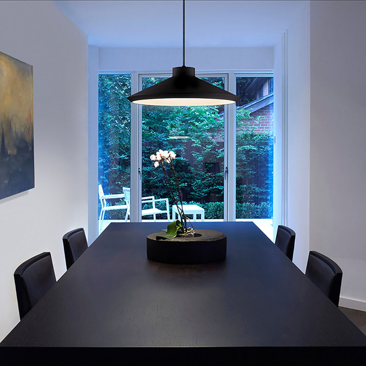 Satin Black Koma Pendant Light with LED and Incandescent Illumination