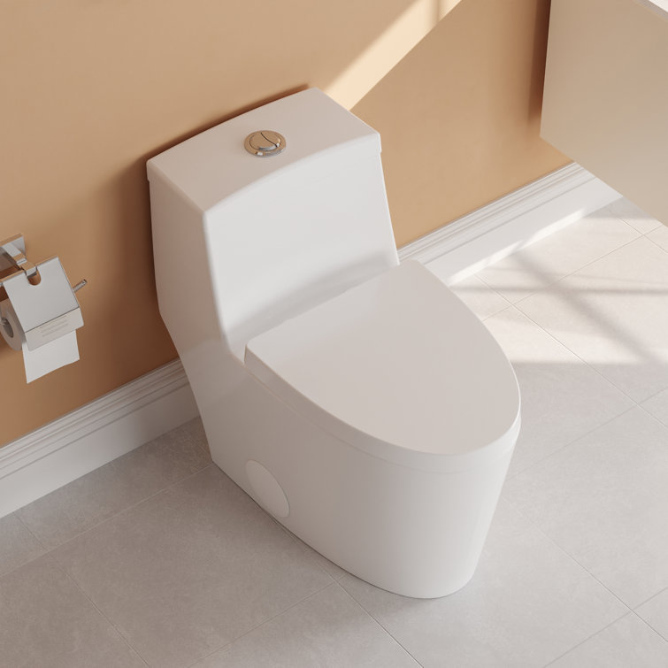 White Elongated Dual-Flush One-Piece Toilet with Silver Button