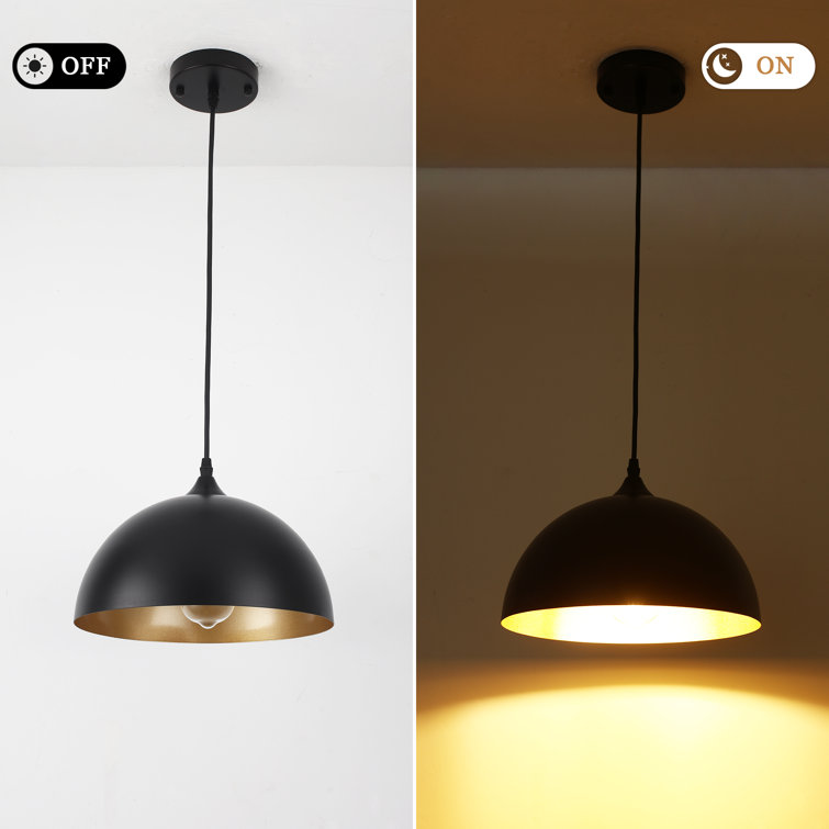 Black Metal Dome Pendant Light with Adjustable Height