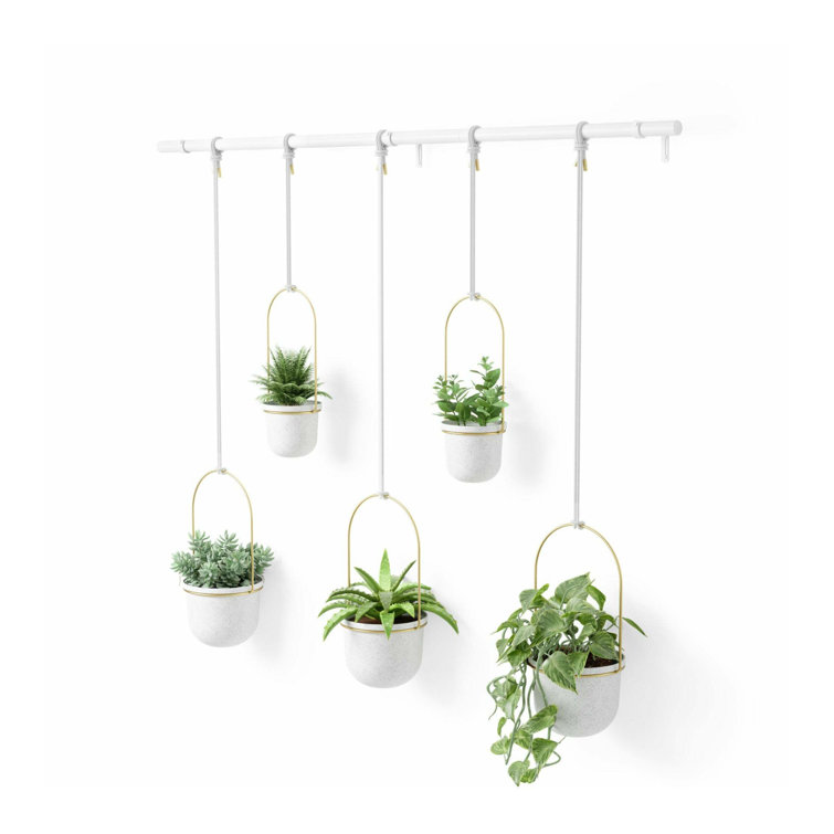Triflora Adjustable White/Brass Indoor/Outdoor Hanging Planter