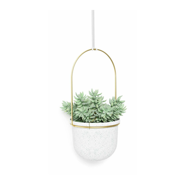 Triflora Adjustable White/Brass Indoor/Outdoor Hanging Planter