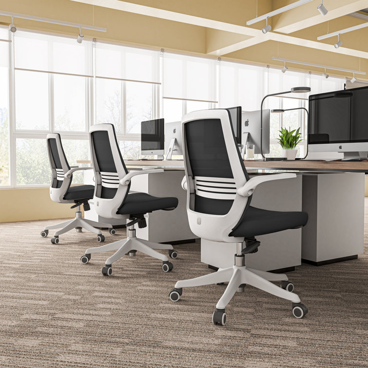 Modern Ergonomic Executive Mesh Office Chair with Adjustable Arms, Black