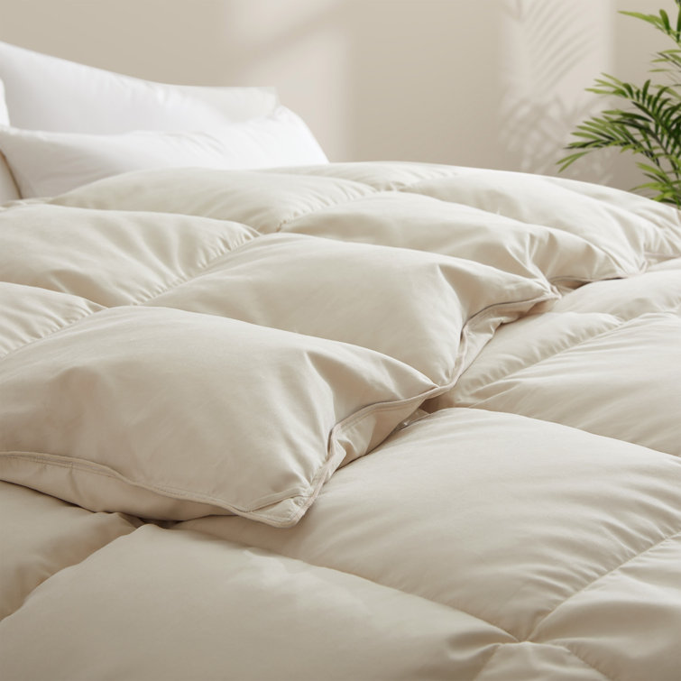 Cream Twin All-Season Goose Down Comforter Duvet Insert