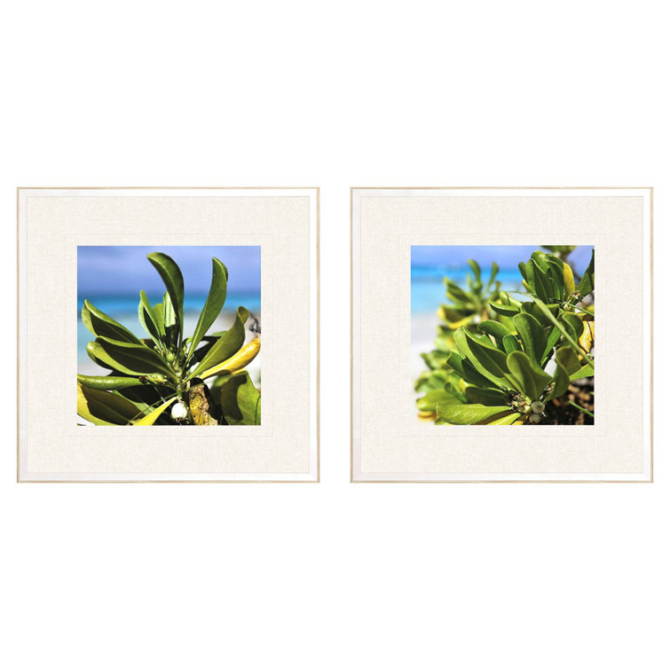 Sea and Sand Coastal Botanical Framed Wall Art Set