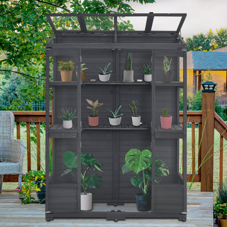 Dark Gray Fir Wood Walk-In Greenhouse with Openable Roof
