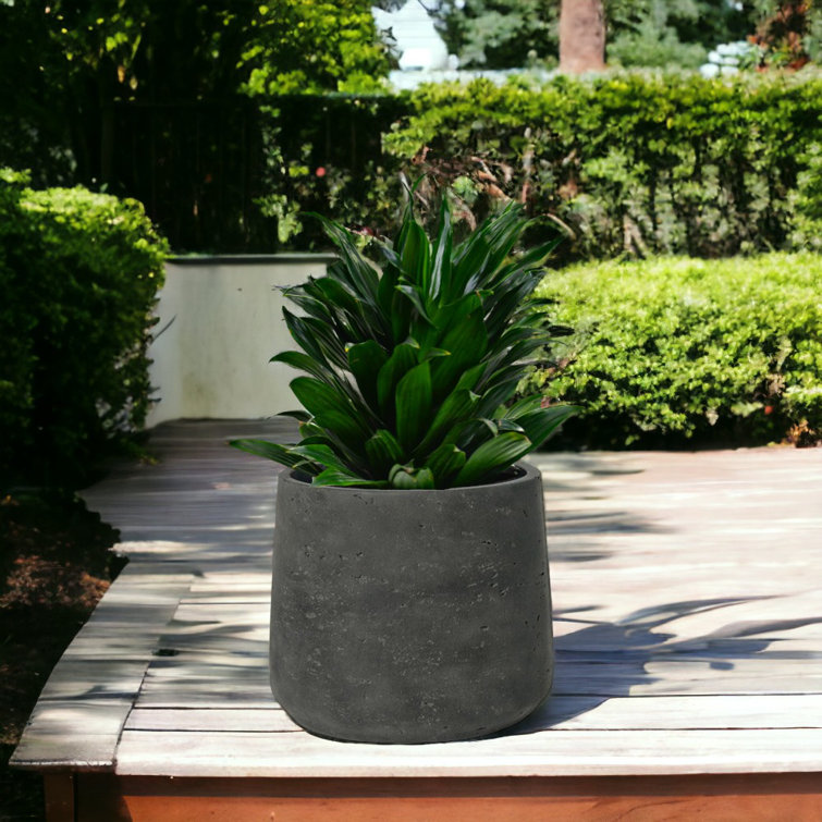 Black Fiber Stone Round Outdoor/Indoor Planter Pot
