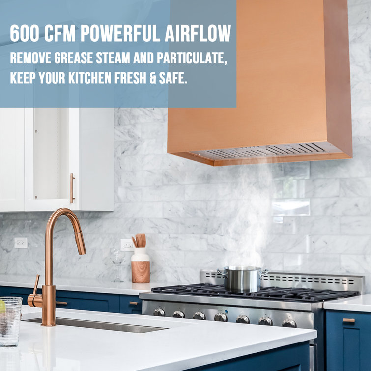White Stainless Steel 36" Wall Mounted Range Hood with Charcoal Filter