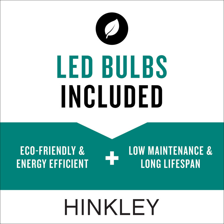 Matte Bronze LED Outdoor Spotlight with Clear Lens