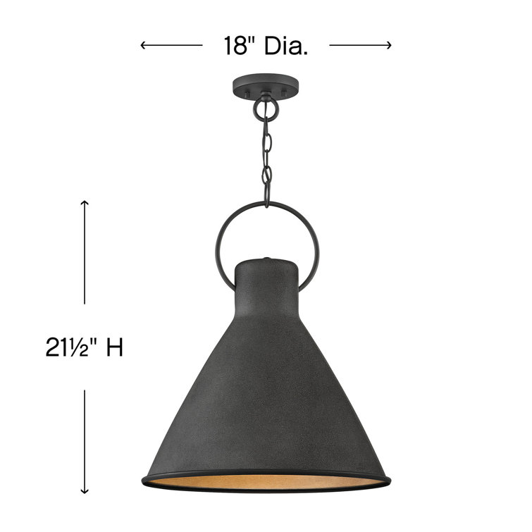Winnie Aged Zinc 18" Pendant Light with Oversized Loop - Black