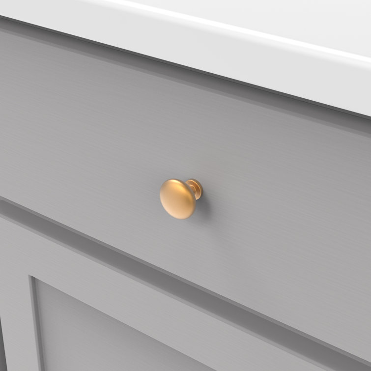 Brushed Brass Round Cabinet Knobs with Mounting Hardware