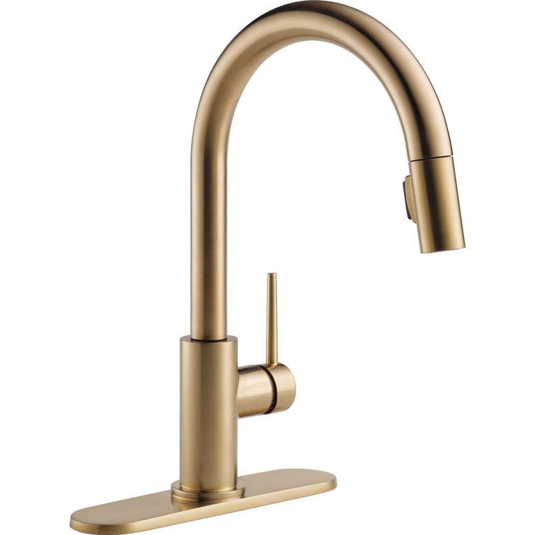 Bronze Modern Pull-Down Kitchen Faucet with Spray