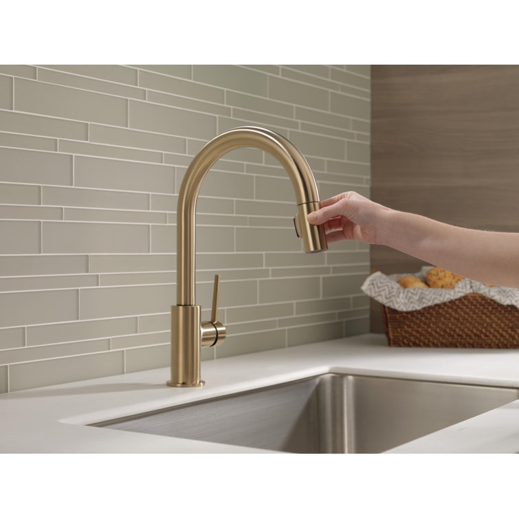 Bronze Modern Pull-Down Kitchen Faucet with Spray