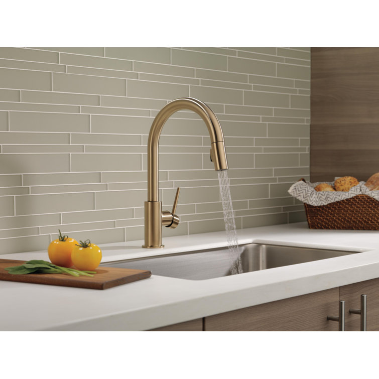 Bronze Modern Pull-Down Kitchen Faucet with Spray