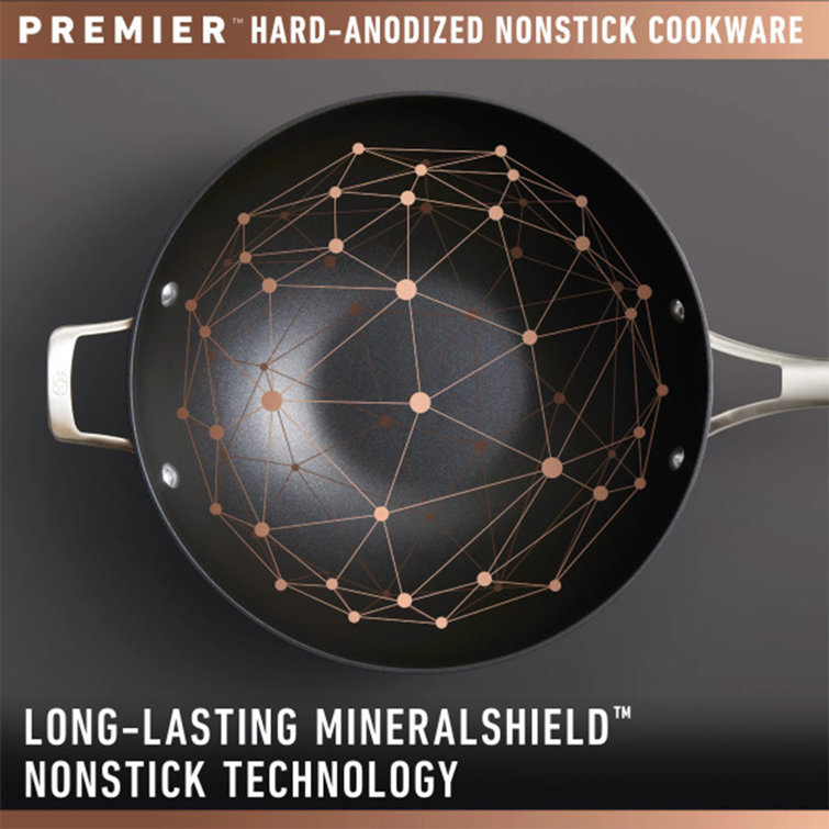 Premier Black Hard-Anodized Nonstick Roasting Pan with Rack and Handles