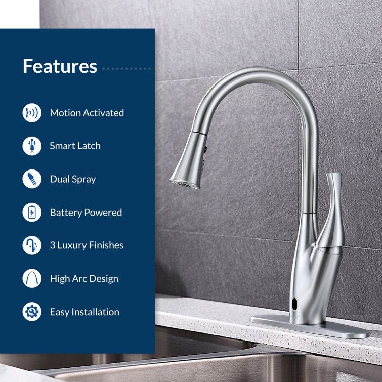 Oil-Rubbed Bronze Pull-Down Kitchen Faucet with Spray