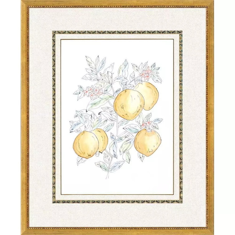 Citrus Fresh Hand-Painted Gold Framed Wall Art Set