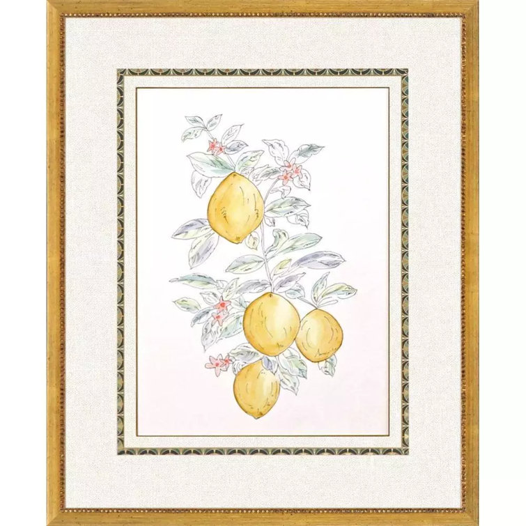 Citrus Fresh Hand-Painted Gold Framed Wall Art Set