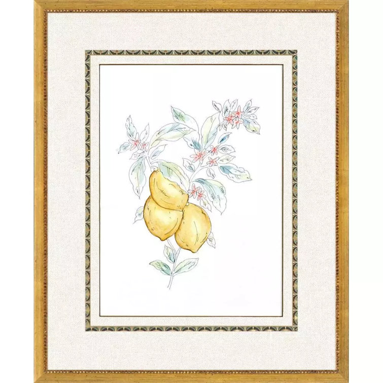 Citrus Fresh Hand-Painted Gold Framed Wall Art Set