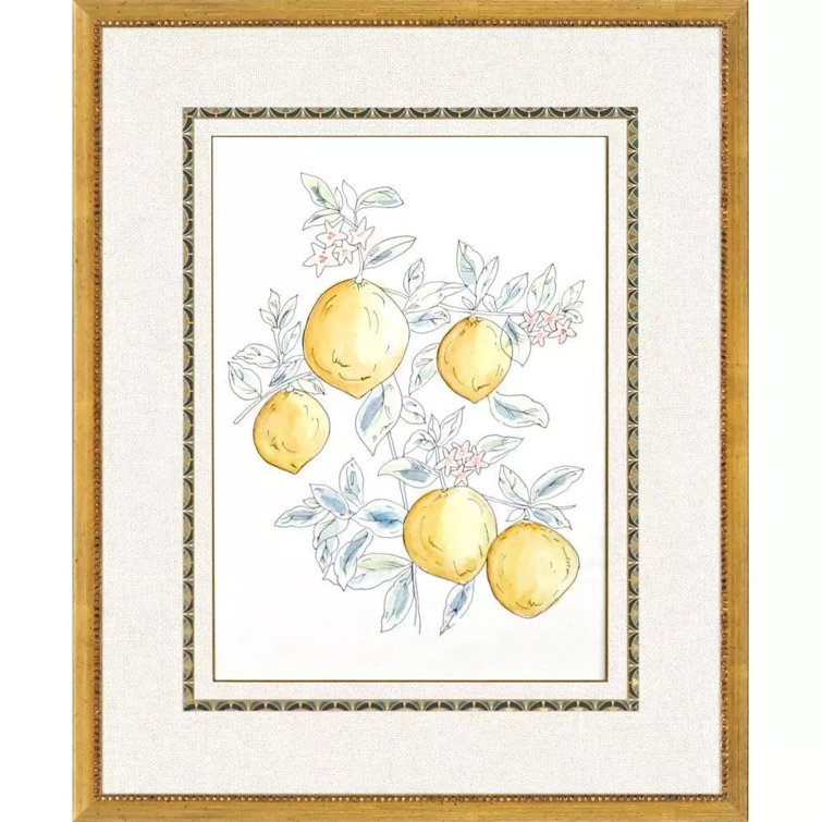 Citrus Fresh Hand-Painted Gold Framed Wall Art Set
