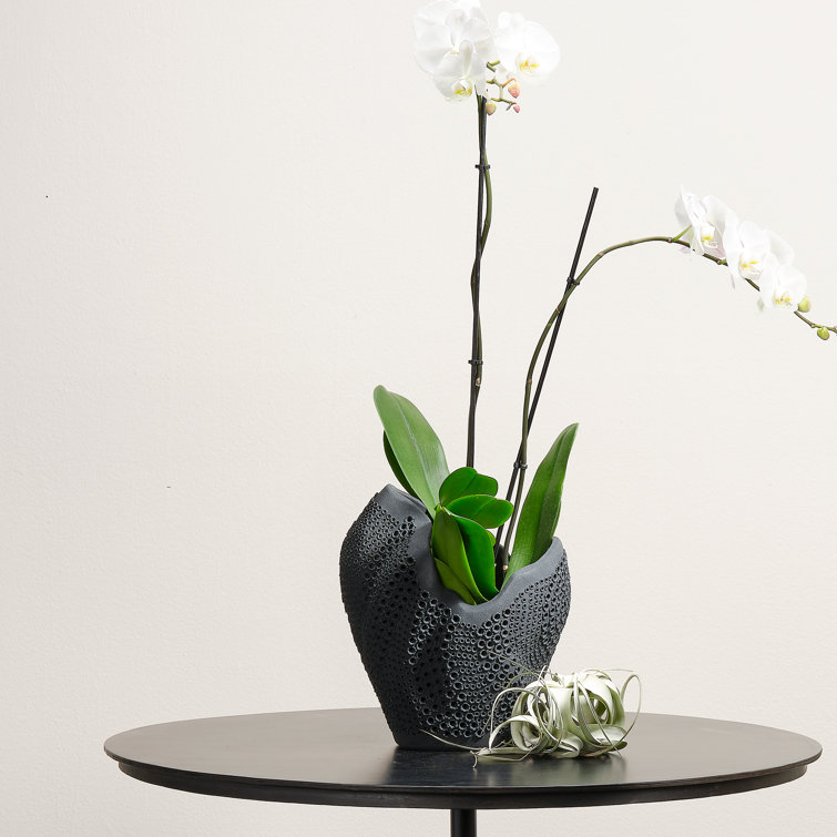 Matte Black Perforated Porcelain Decorative Vase