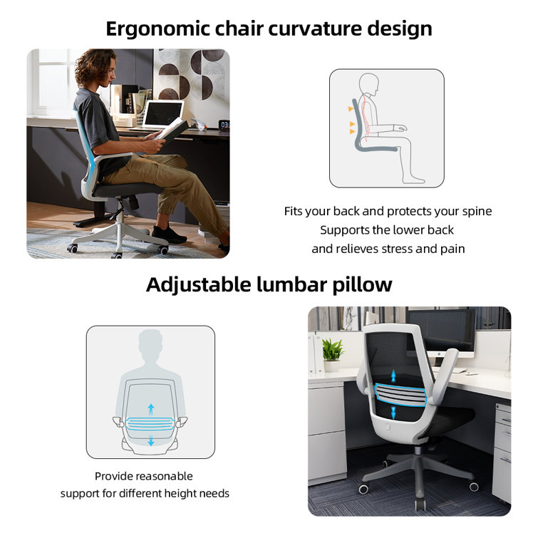 Modern Ergonomic Executive Mesh Office Chair with Adjustable Arms, Black