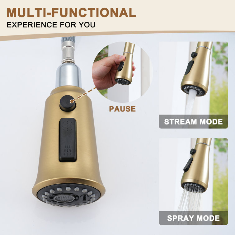 Brushed Gold Stainless Steel Pull-Out Spray Kitchen Faucet