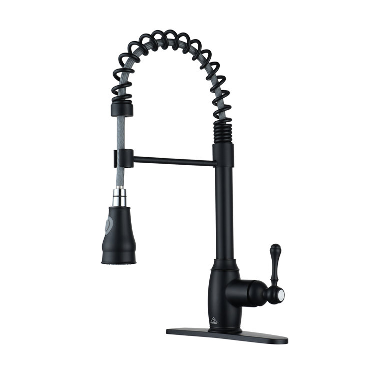 Matte Black Single-Handle Spring Pull-Down Kitchen Faucet