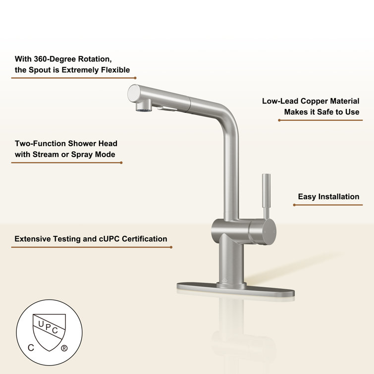 Brushed Nickel Single-Handle Pull-Out Spray Kitchen Faucet