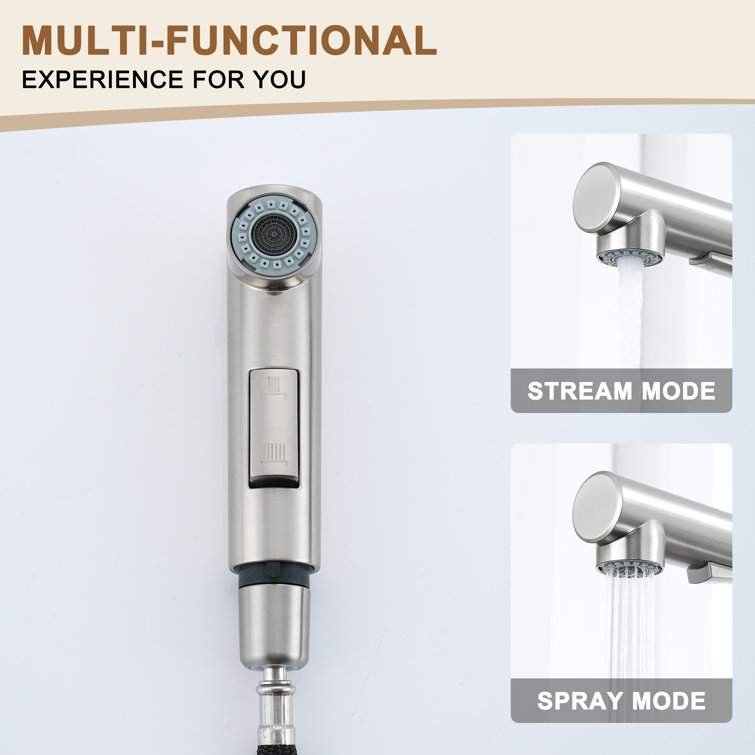 Brushed Nickel Single-Handle Pull-Out Spray Kitchen Faucet