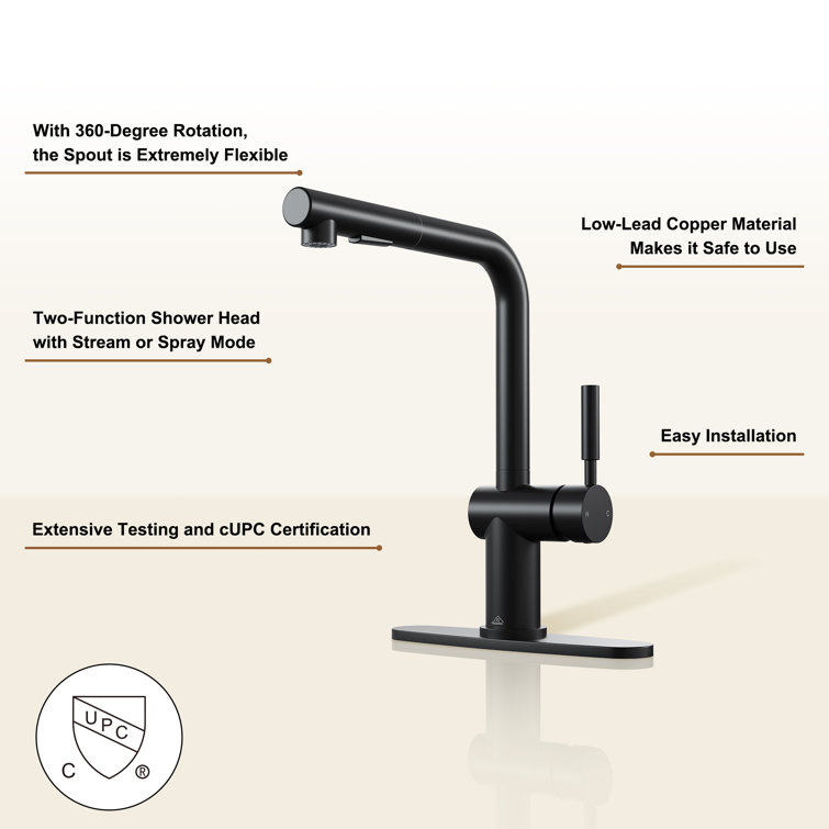Matte Black Single-Handle Pull-Out Kitchen Faucet with Deck Plate