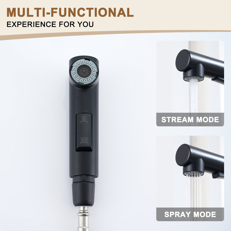 Matte Black Single-Handle Pull-Out Kitchen Faucet with Deck Plate