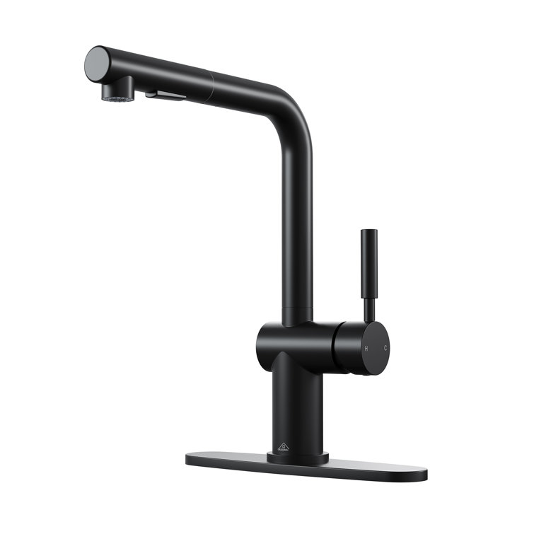 Matte Black Single-Handle Pull-Out Kitchen Faucet with Deck Plate