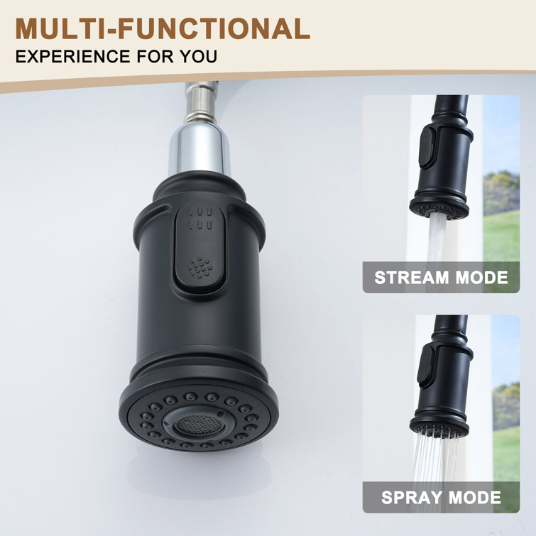 Matte Black Stainless Steel Pull-Out Kitchen Faucet
