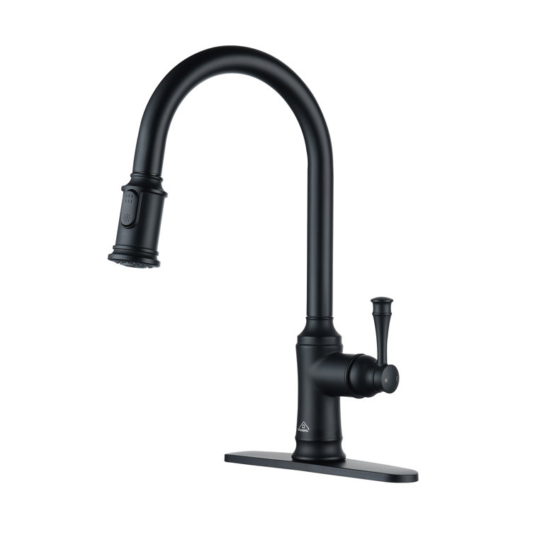 Matte Black Stainless Steel Pull-Out Kitchen Faucet