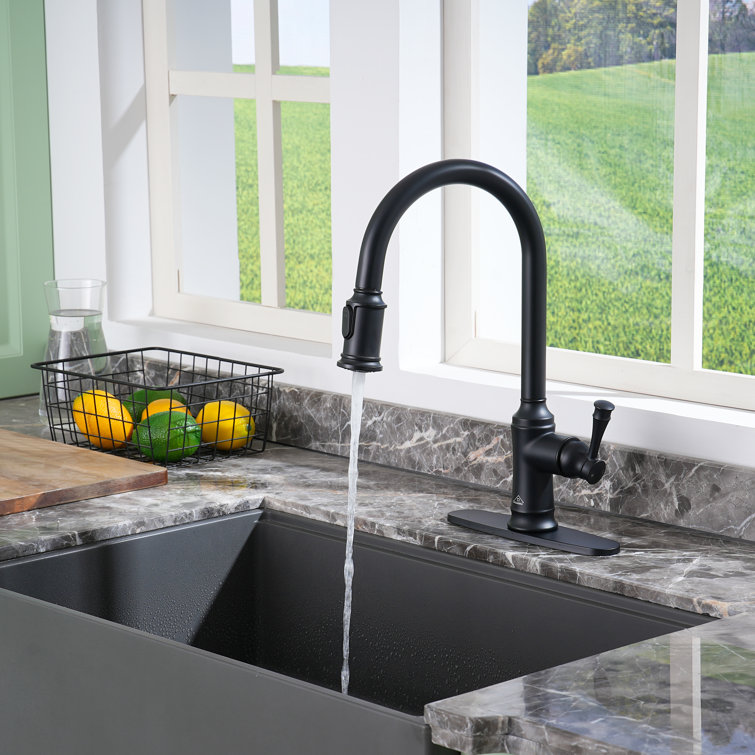 Matte Black Stainless Steel Pull-Out Kitchen Faucet
