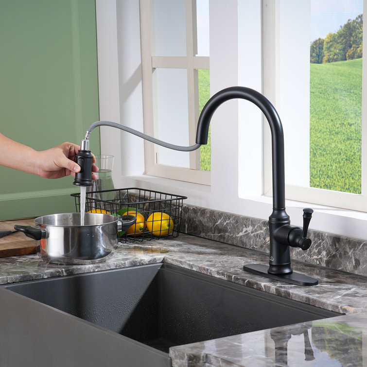 Matte Black Stainless Steel Pull-Out Kitchen Faucet