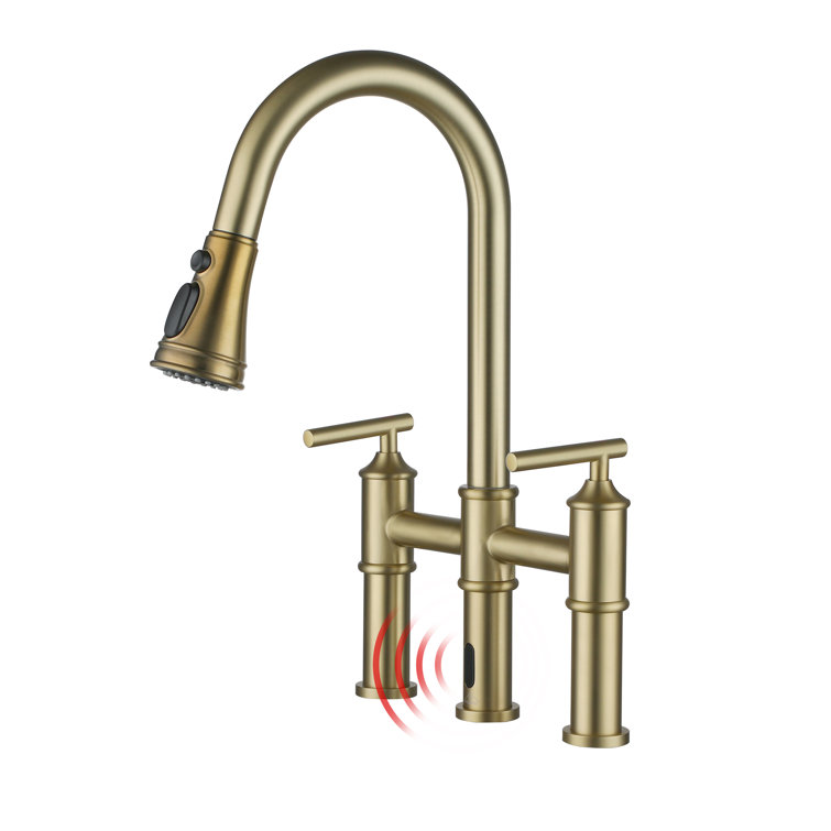 Brushed Gold Double Handle Pull-Out Spray Kitchen Faucet
