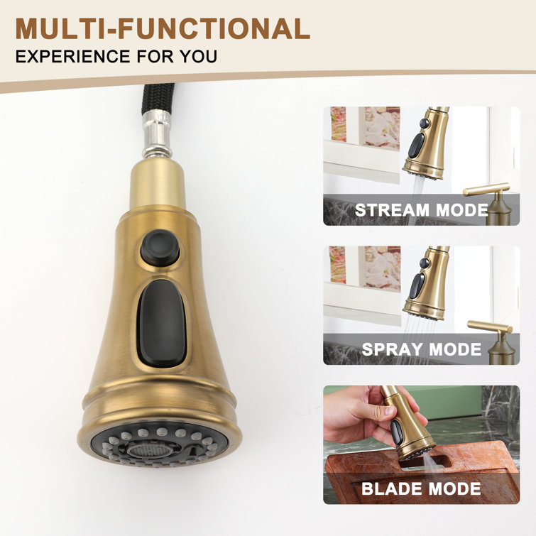 Brushed Gold Double Handle Pull-Out Spray Kitchen Faucet