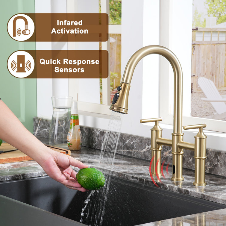 Brushed Gold Double Handle Pull-Out Spray Kitchen Faucet